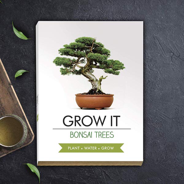 Grow it - Creste Bonsai